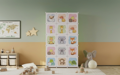 Cum să Transformi Camerele Casei Tale cu Dulapurile Modulare Inteligent Design