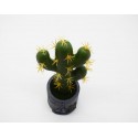 Cactus artificial, Naimeed D2835, culoare verde, 22x8 cm Cactus artificial, Naimeed D2835, culoare verde, 22x8 cm