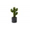 Cactus artificial, Naimeed D2835, culoare verde, 22x8 cm