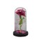 Aranjament floral in cupola de sticla, lumina Led, D4005, Roz