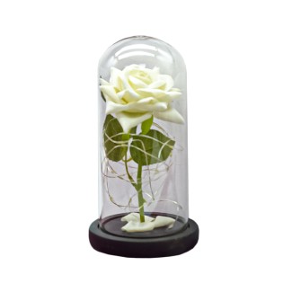 Aranjament floral in cupola de sticla, lumina Led, D4006, Alb