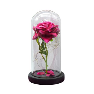 Aranjament floral in cupola de sticla, lumina Led, D4006, Roz
