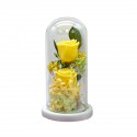 Aranjament floral in cupola de sticla, lumina Led, D4008, Galben