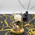 Aranjament floral in cupola de sticla, lumina Led, D4010, Alb