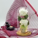 Aranjament floral in cupola de sticla, lumina Led, D4011, Alb