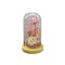 Aranjament floral in cupola de sticla, lumina Led, D4012, Roz