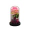 Aranjament floral in cupola de sticla, lumina Led, D4013, Roz