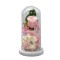 Aranjament floral in cupola de sticla, lumina Led, D4014, Roz