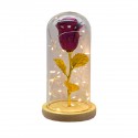 Aranjament floral in cupola de sticla, lumina Led, D4019, Roz