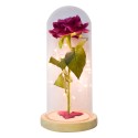 Aranjament floral in cupola de sticla, lumina Led, D4027, Roz Aranjament floral in cupola de sticla, lumina Led, D4027, Roz