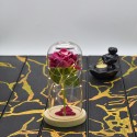 Aranjament floral in cupola de sticla, lumina Led, D4028, Roz