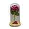 Aranjament floral in cupola de sticla, lumina Led, D4028, Roz