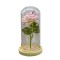 Aranjament floral in cupola de sticla, lumina Led, D4032, Roz pal