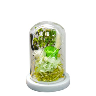 Aranjament floral in cupola de sticla, lumina Led, D4035, Verde Aranjament floral in cupola de sticla, lumina Led, D4035, Verde