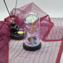 Aranjament floral in cupola de sticla, lumina Led, D4043, Roz