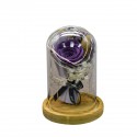 Aranjament floral in cupola de sticla, lumina Led, D4046, Mov inchis