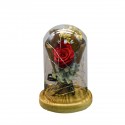 Aranjament floral in cupola de sticla, lumina Led, D4046, Rosu