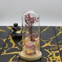 Aranjament floral in cupola de sticla, lumina Led, D4048, Roz