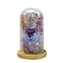 Aranjament floral in cupola de sticla, lumina Led, D4050, Mov