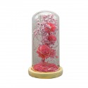 Aranjament floral in cupola de sticla, lumina Led, D4055, Roz