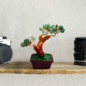 Copacel Feng Shui cu Pietre de Aventurin, Suport Ceramic, Naimeed, D3011VR