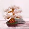 Copac Feng Shui cu Pietre Semipretioase de Cuart Roz, Suport Ceramic, Naimeed D3013W, Inaltime 22cm