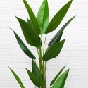 Planta artificiala, Canna fara ghiveci, D4244, 170cm, verde Planta artificiala, Canna fara ghiveci, D4244, 170cm, verde