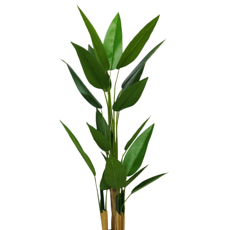 Planta artificiala, Canna fara ghiveci, D4244, 170cm, verde Planta artificiala, Canna fara ghiveci, D4244, 170cm, verde