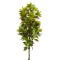 Planta artificiala, Croton fara ghiveci,  D4252, 190cm