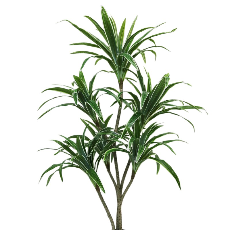 Planta artificiala, Dracaena fara ghiveci, D4263, 170cm, verde/alb