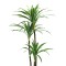 Planta artificiala, Dracaena fara ghiveci, D4264, 165cm, verde/alb