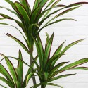 Planta artificiala, Dracaena fara ghiveci, D4278, 140cm, verde/rosu Planta artificiala, Dracaena fara ghiveci, D4278, 140cm, verde/rosu