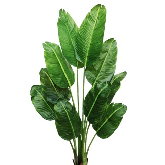 Planta artificiala, Ravenala fara ghiveci, 10 frunze, D4296, 160cm, verde Planta artificiala, Ravenala fara ghiveci, 10 frunze, D4296, 160cm, verde