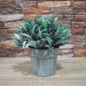 Planta Artificiala cu Ghiveci, D4955, Turcoaz Planta Artificiala cu Ghiveci, D4955, Turcoaz