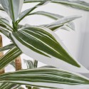 Planta artificiala, Dracaena fara ghiveci, Naimeed D5602, 120x85 cm Verde/Alb