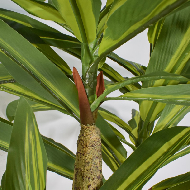 Planta artificiala, Dracaena fara ghiveci, Naimeed D5602, 120x85 cm, Verde/Galben Planta artificiala, Dracaena fara ghiveci, Naimeed D5602, 120x85 cm, Verde/Galben