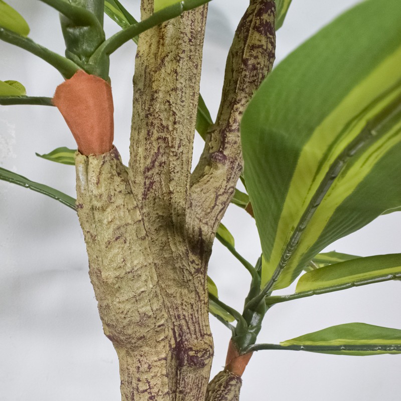 Planta artificiala, Dracaena fara ghiveci, Naimeed D5602, 120x85 cm, Verde/Galben Planta artificiala, Dracaena fara ghiveci, Naimeed D5602, 120x85 cm, Verde/Galben