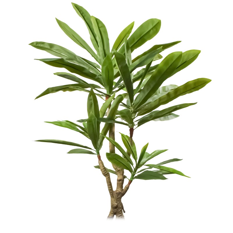 Planta artificiala, Dracaena fara ghiveci, Naimeed D5602, 120x85 cm, Verde