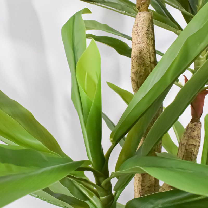 Planta artificiala, Dracaena fara ghiveci, Naimeed D5602, 120x85 cm, Verde Planta artificiala, Dracaena fara ghiveci, Naimeed D5602, 120x85 cm, Verde