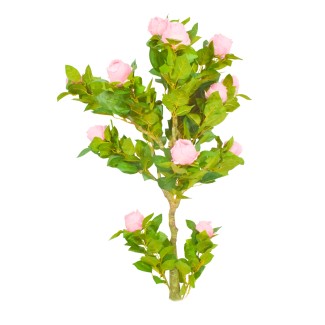 Copac artificial, Trandafir fara ghiveci, Naimeed D5611, 125x65 cm, Roz Copac artificial, Trandafir fara ghiveci, Naimeed D5611, 125x65 cm, Roz