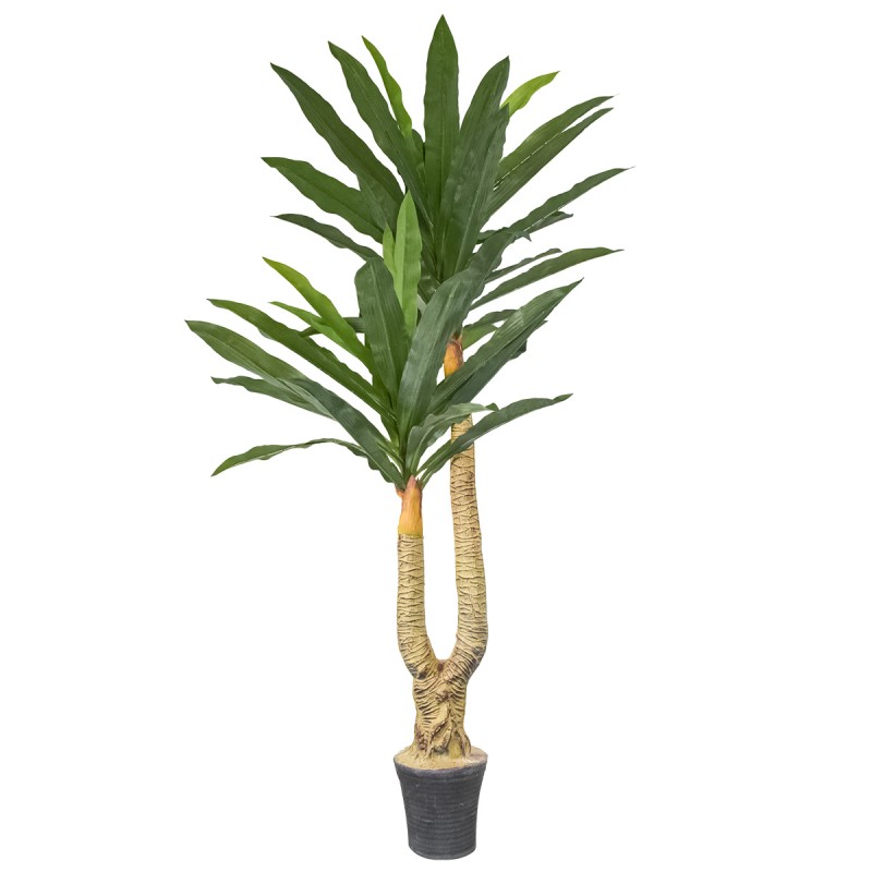 Copac artificial, Dracaena fara ghiveci, Naimeed D5612, 166x100 cm, Verde Copac artificial, Dracaena fara ghiveci, Naimeed D5612, 166x100 cm, Verde