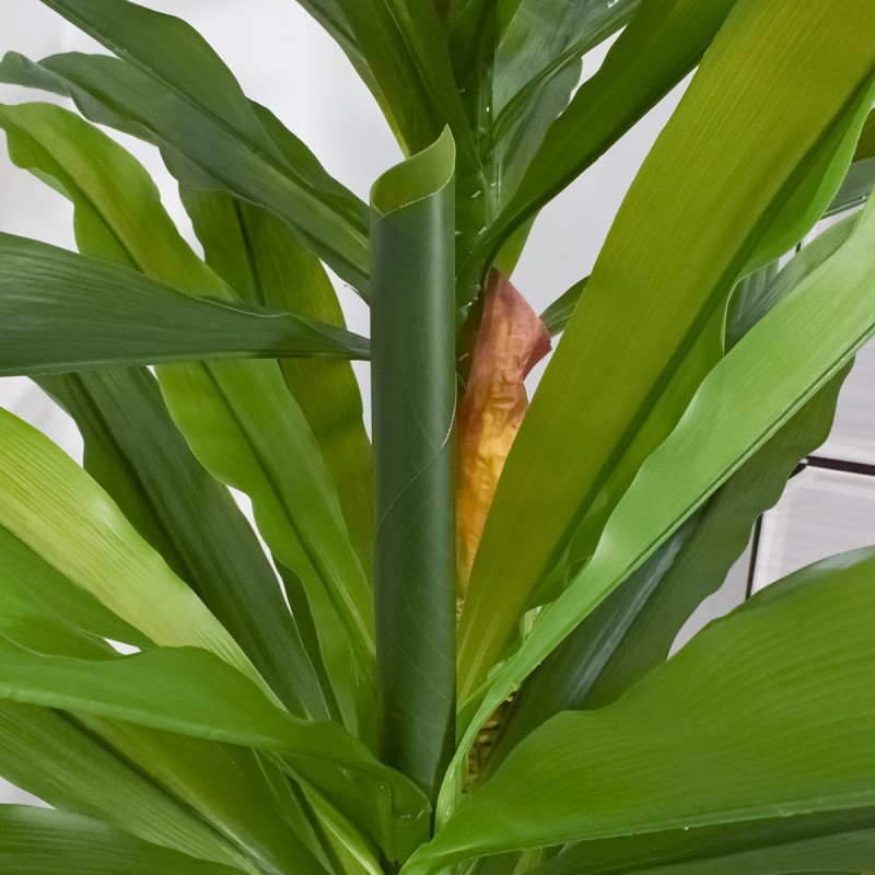 Copac artificial, Dracaena fara ghiveci, Naimeed D5612, 166x100 cm, Verde Copac artificial, Dracaena fara ghiveci, Naimeed D5612, 166x100 cm, Verde