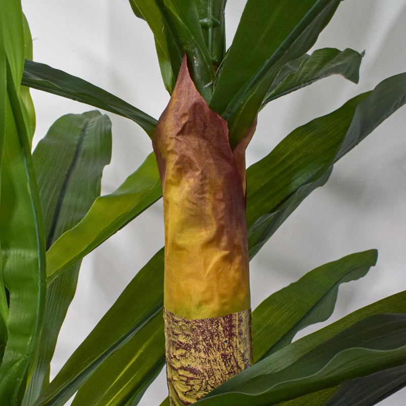 Copac artificial, Dracaena fara ghiveci, Naimeed D5612, 166x100 cm, Verde Copac artificial, Dracaena fara ghiveci, Naimeed D5612, 166x100 cm, Verde