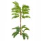 Copac artificial, Areca fara ghiveci, Naimeed D5615, 158x85 cm, Verde