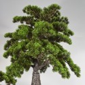 Copac artificial, Bonsai fara ghiveci, Naimeed D5647, 300x264x60 cm, Verde