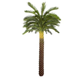 Copac artificial, Palmier Phoenix fara ghiveci, Naimeed D5650, 240x135 cm, Verde Copac artificial, Palmier Phoenix fara ghiveci, Naimeed D5650, 240x135 cm, Verde