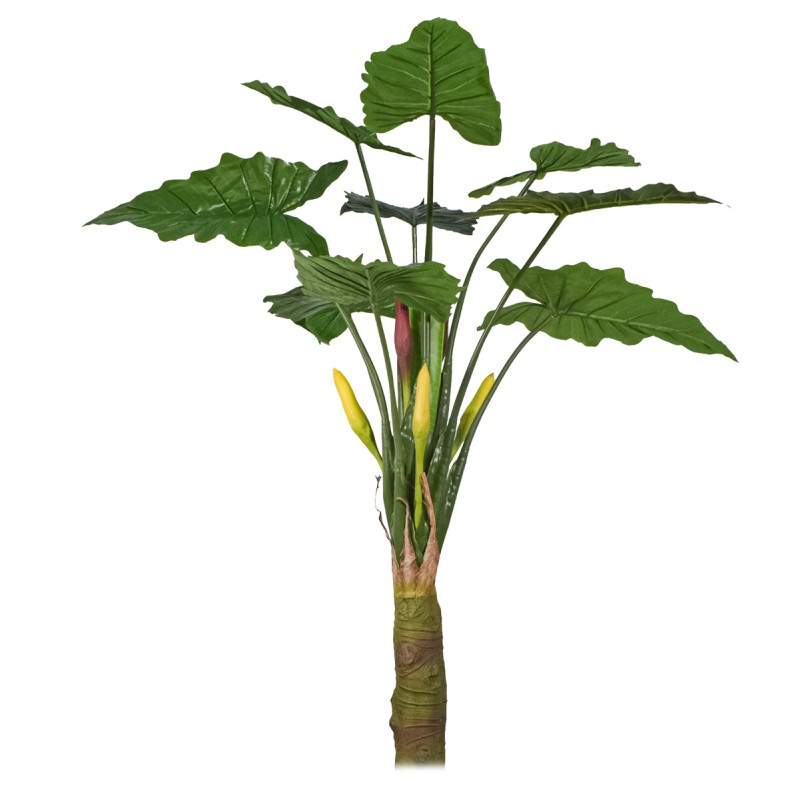 Planta artificiala,Caladium Taro fara ghiveci, Naimeed D5651, 210x177 cm Verde Planta artificiala,Caladium Taro fara ghiveci, Naimeed D5651, 210x177 cm Verde