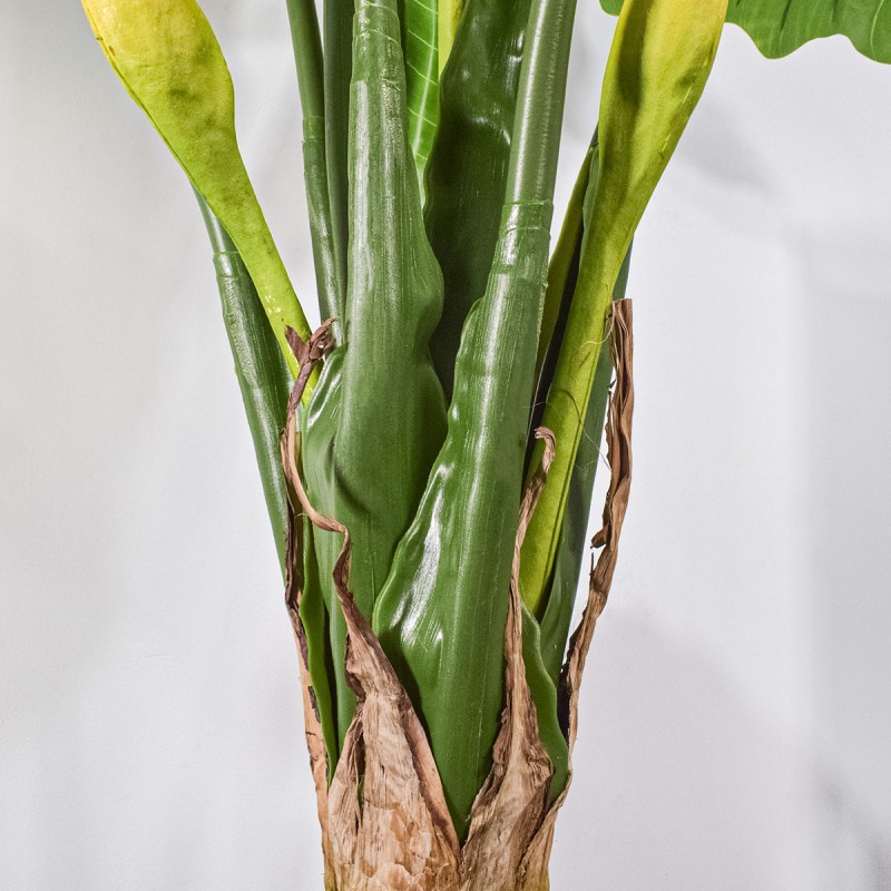 Planta artificiala,Caladium Taro fara ghiveci, Naimeed D5651, 210x177 cm Verde Planta artificiala,Caladium Taro fara ghiveci, Naimeed D5651, 210x177 cm Verde