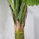 Planta artificiala,Caladium Taro fara ghiveci, Naimeed D5651, 210x177 cm Verde Planta artificiala,Caladium Taro fara ghiveci, Naimeed D5651, 210x177 cm Verde