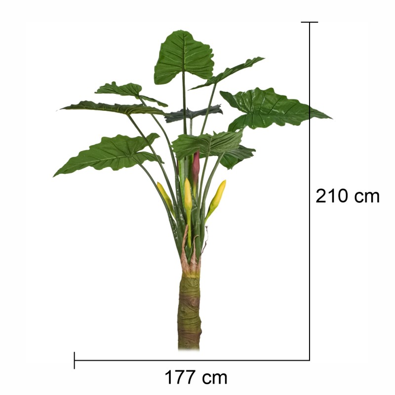 Planta artificiala,Caladium Taro fara ghiveci, Naimeed D5651, 210x177 cm Verde Planta artificiala,Caladium Taro fara ghiveci, Naimeed D5651, 210x177 cm Verde